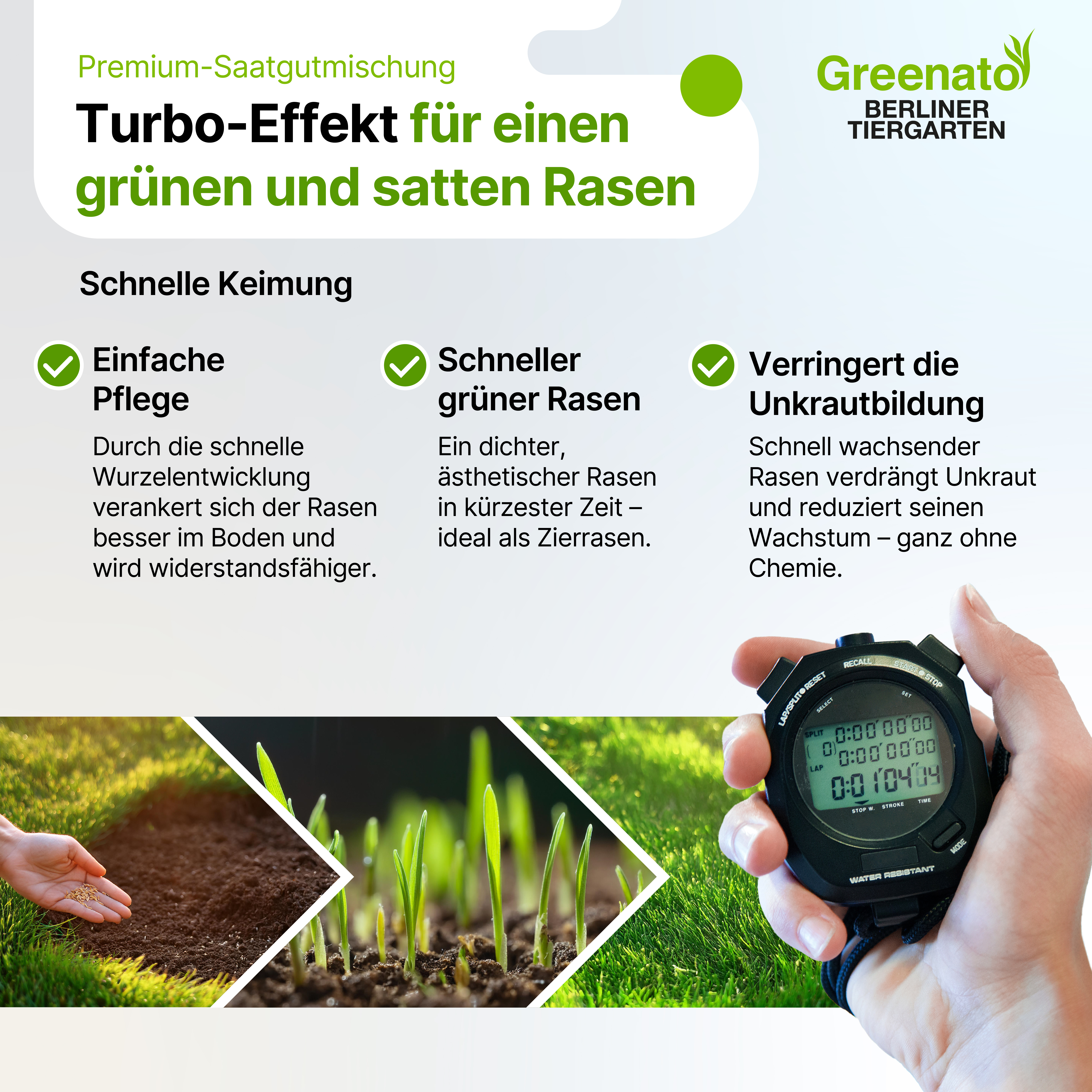25kg Rasensamen Dürreresistenter Rasen für Trockenflächen Grassamen Gras Saatgut - Bild 3 von 7
