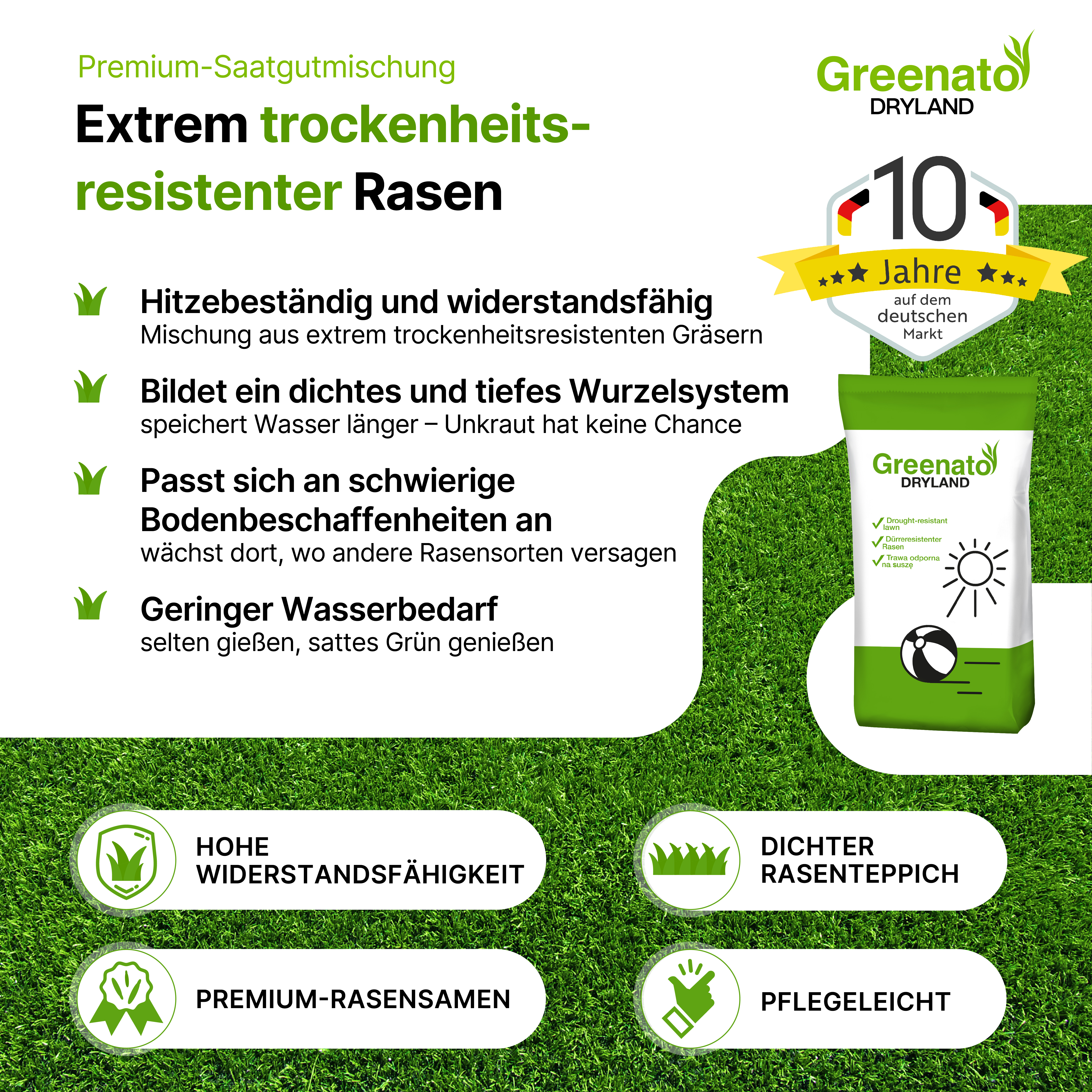 25kg Rasensamen Dürreresistenter Rasen für Trockenflächen Grassamen Gras Saatgut - Bild 2 von 6