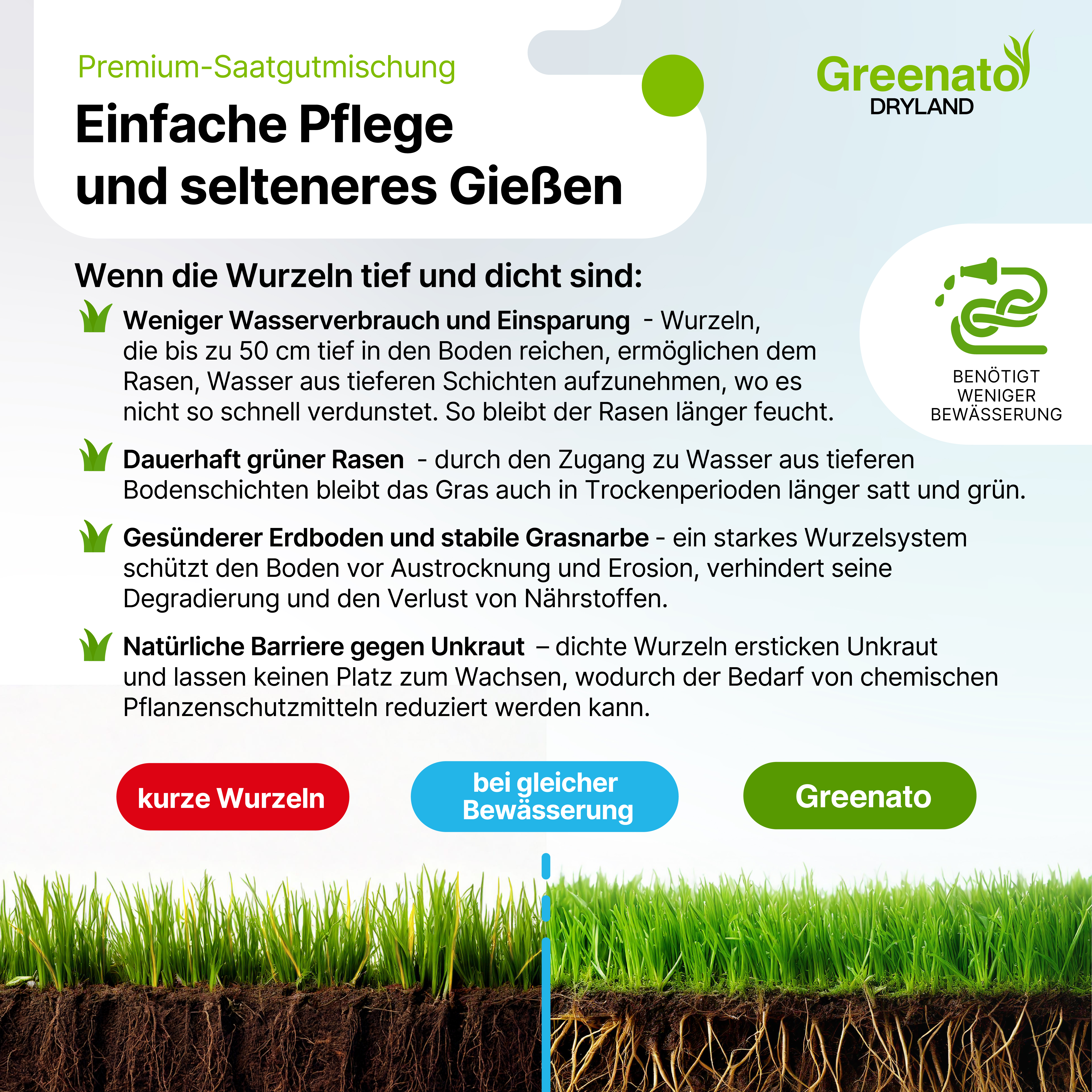 25kg Rasensamen Dürreresistenter Rasen für Trockenflächen Grassamen Gras Saatgut - Bild 3 von 6