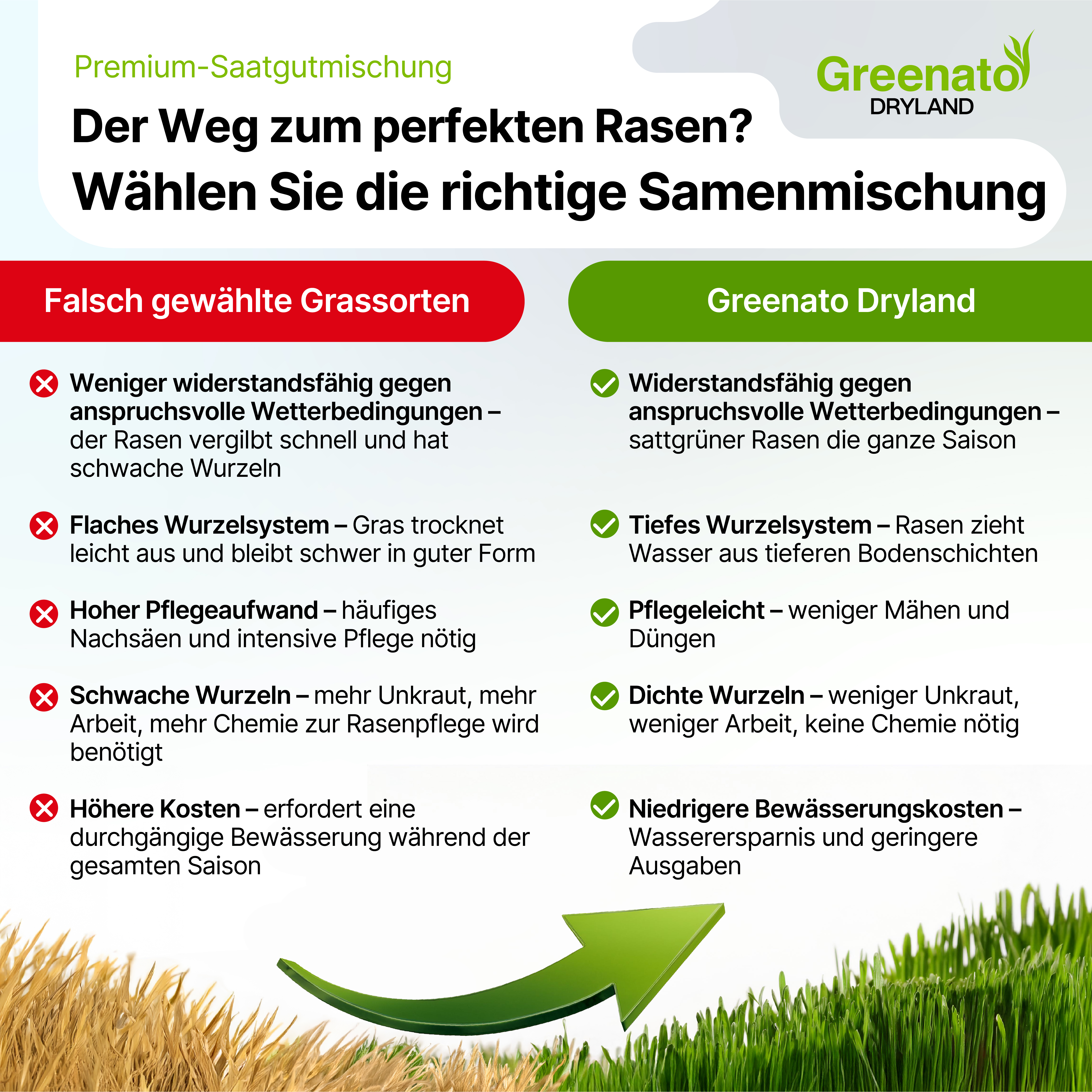 25kg Rasensamen Dürreresistenter Rasen für Trockenflächen Grassamen Gras Saatgut - Bild 5 von 6